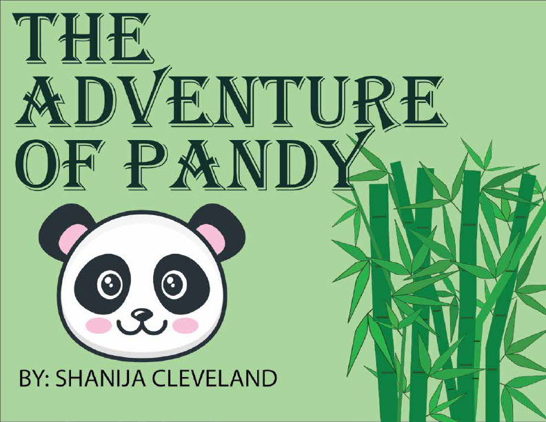 THE-ADVRNTURE-OF-PANDY